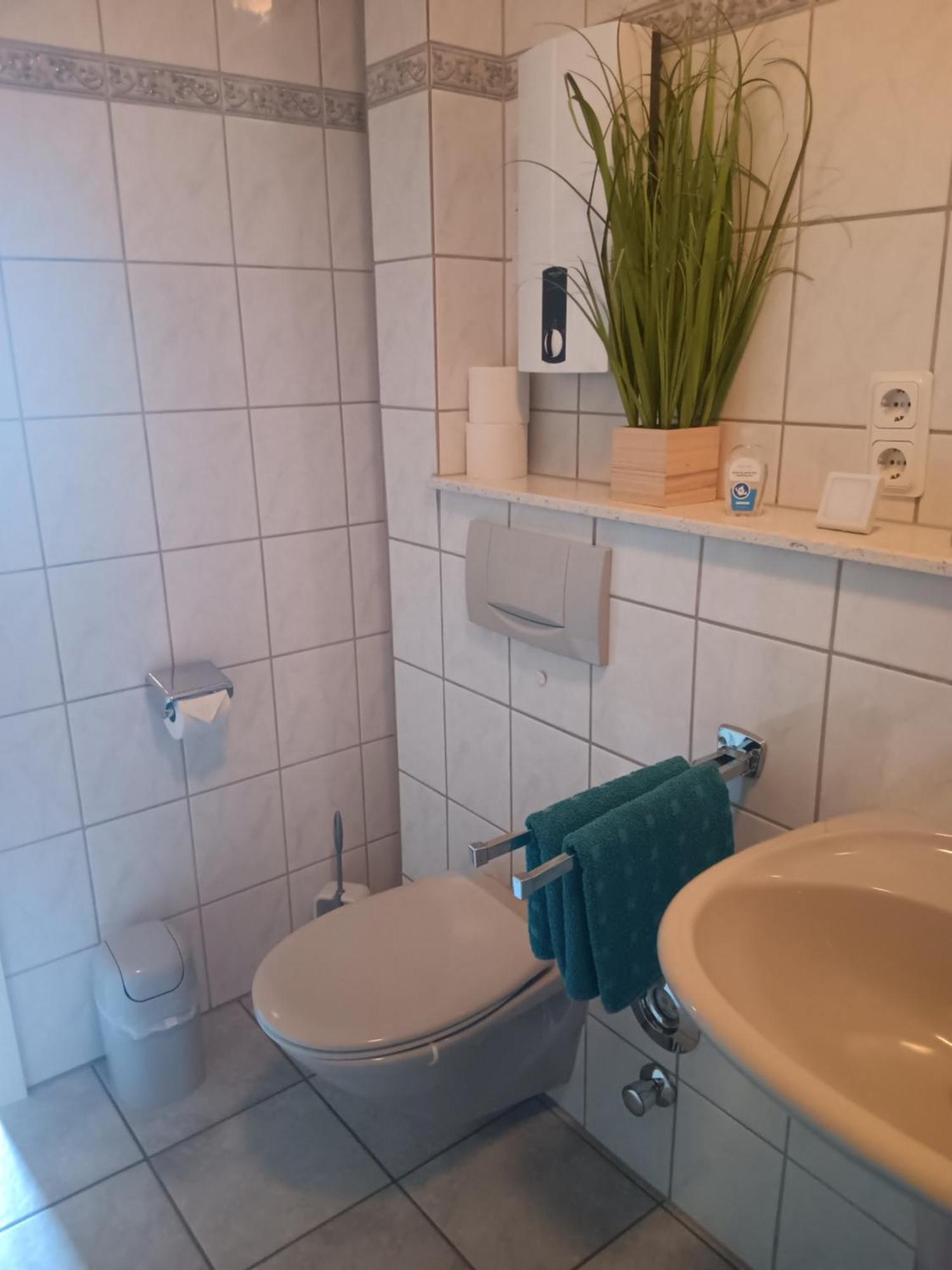 Ferienwohnung Mattheiser Weiher เทรียร์ ภายนอก รูปภาพ